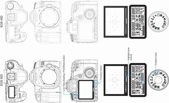 canon digital camera reviews  Canon EOS Digital SLR Showdown: 40D vs 50D