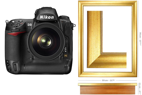 a-comparison-of-megapixels-to-photo-print-size-and-the-nikon-d3x-spot-cool-stuff-tech