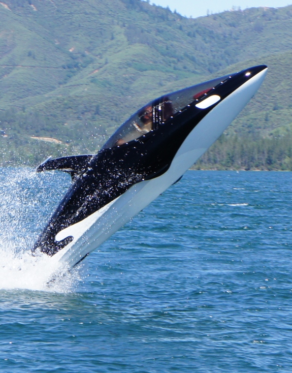 seabreacher-jet-ski-dolphin.jpg