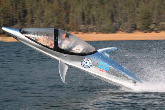 Jet Ski Dolphin