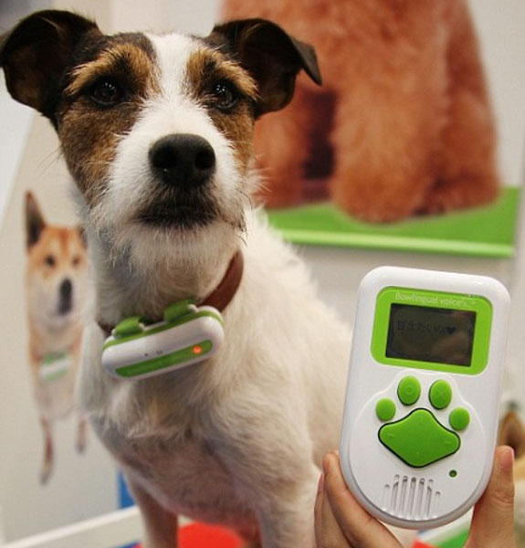 A Review of the BowLingual Voice Dog-To-Human Translator | Spot Cool Stuff:  Tech