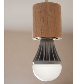 eco friendly concept  Meet the Next Generation of LED Light Bulbs